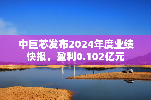 中巨芯发布2024年度业绩快报，盈利0.102亿元