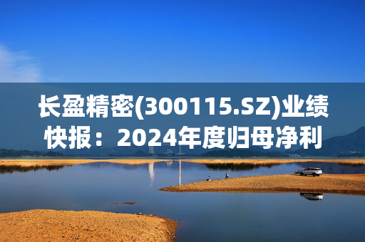 长盈精密(300115.SZ)业绩快报：2024年度归母净利润7.69亿元 同比增长796.99%