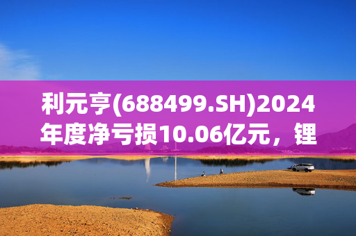 利元亨(688499.SH)2024年度净亏损10.06亿元，锂电设备接单毛利下降