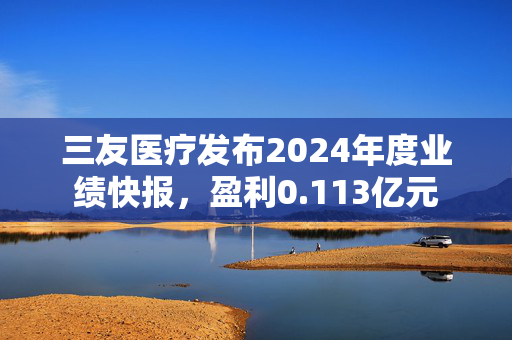 三友医疗发布2024年度业绩快报，盈利0.113亿元