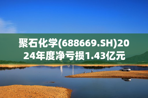 聚石化学(688669.SH)2024年度净亏损1.43亿元