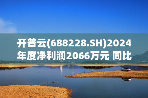 开普云(688228.SH)2024年度净利润2066万元 同比下降49.79%