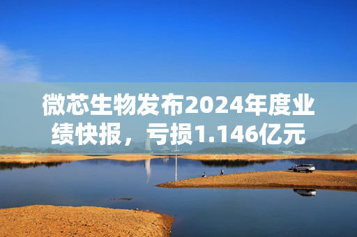 微芯生物发布2024年度业绩快报，亏损1.146亿元