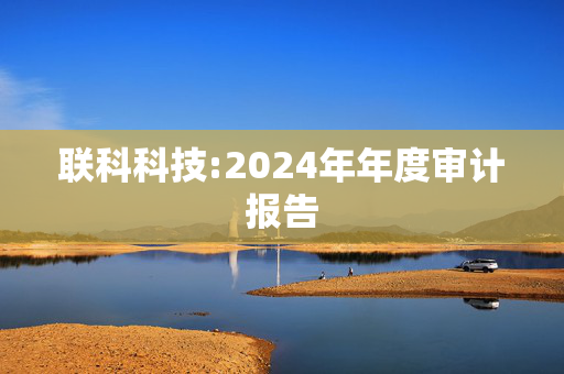 联科科技:2024年年度审计报告