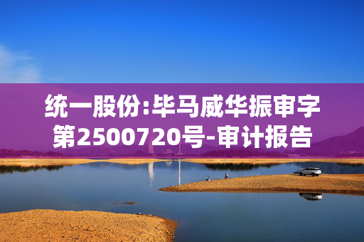 统一股份:毕马威华振审字第2500720号-审计报告