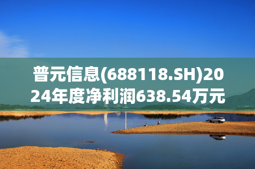 普元信息(688118.SH)2024年度净利润638.54万元 同比扭亏为盈