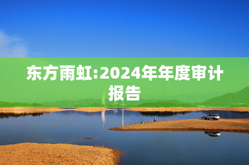 东方雨虹:2024年年度审计报告