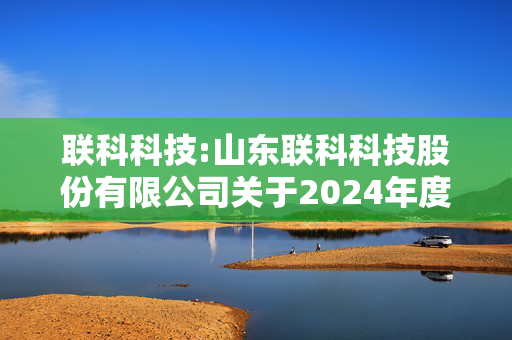 联科科技:山东联科科技股份有限公司关于2024年度利润分配预案的公告