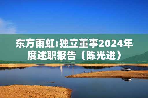 东方雨虹:独立董事2024年度述职报告（陈光进）