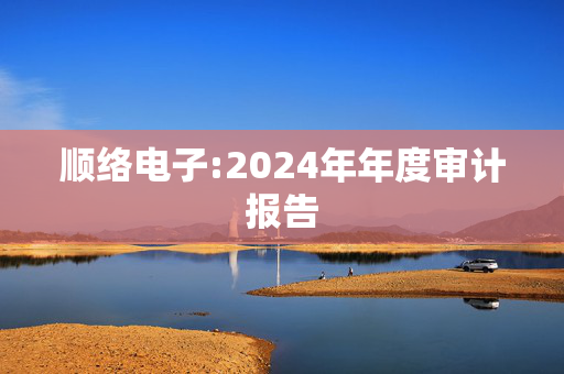 顺络电子:2024年年度审计报告