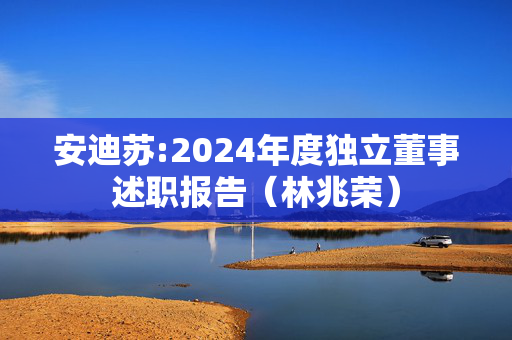 安迪苏:2024年度独立董事述职报告（林兆荣）