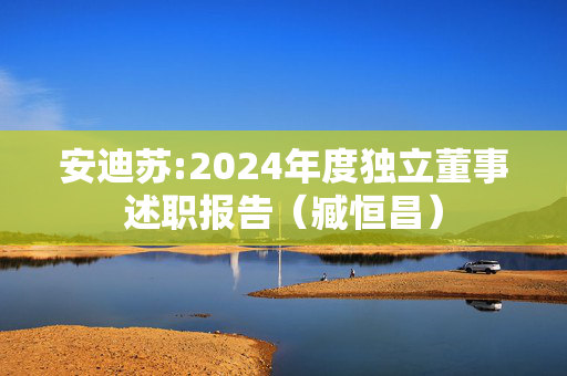 安迪苏:2024年度独立董事述职报告（臧恒昌）