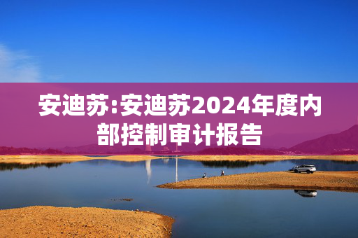 安迪苏:安迪苏2024年度内部控制审计报告