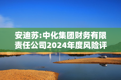 安迪苏:中化集团财务有限责任公司2024年度风险评估报告