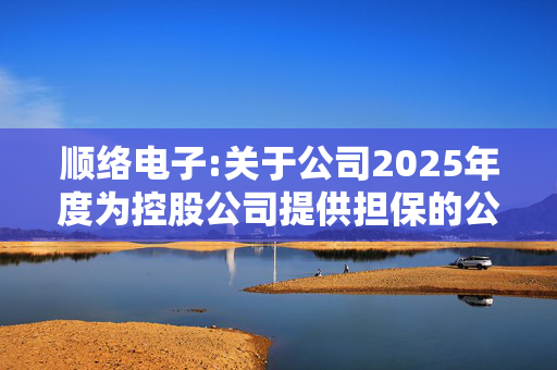 顺络电子:关于公司2025年度为控股公司提供担保的公告