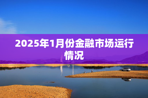 2025年1月份金融市场运行情况