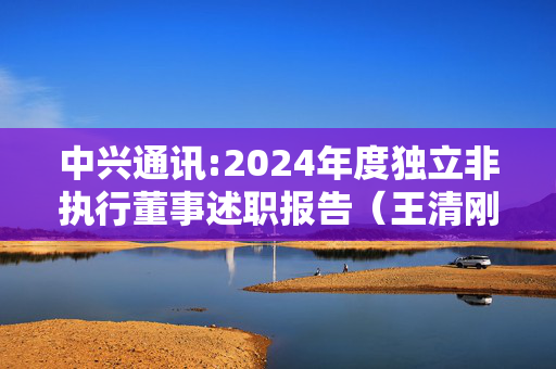 中兴通讯:2024年度独立非执行董事述职报告（王清刚）