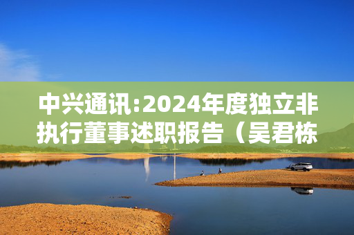 中兴通讯:2024年度独立非执行董事述职报告（吴君栋）