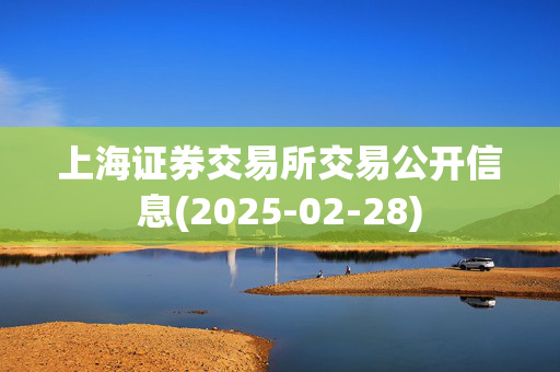 上海证券交易所交易公开信息(2025-02-28)