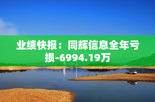 业绩快报：同辉信息全年亏损-6994.19万