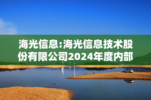 海光信息:海光信息技术股份有限公司2024年度内部控制审计报告