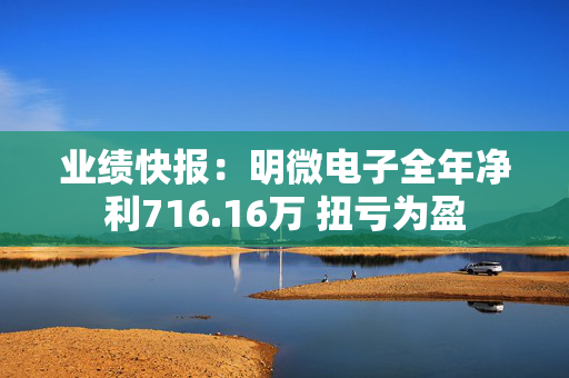 业绩快报：明微电子全年净利716.16万 扭亏为盈