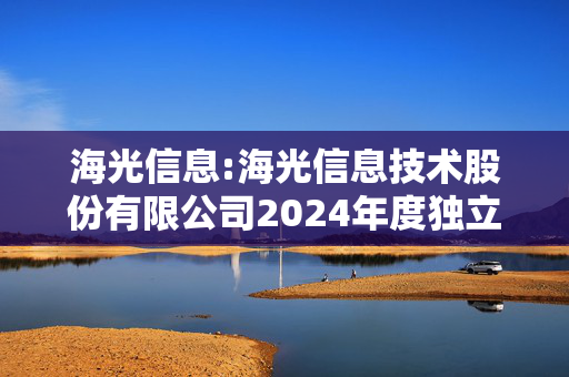 海光信息:海光信息技术股份有限公司2024年度独立董事述职报告（徐艳梅）