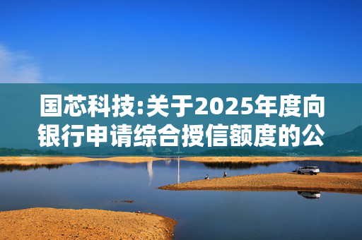 国芯科技:关于2025年度向银行申请综合授信额度的公告