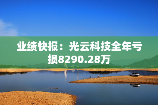 业绩快报：光云科技全年亏损8290.28万