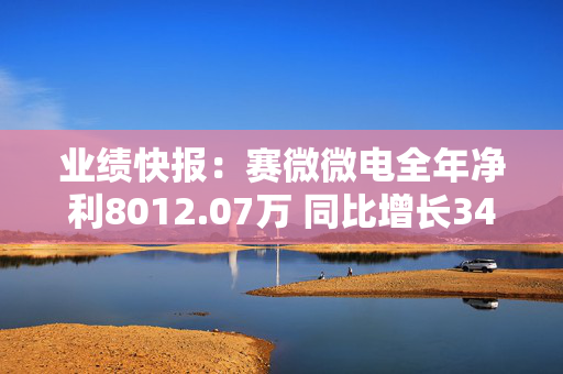 业绩快报：赛微微电全年净利8012.07万 同比增长34.04%