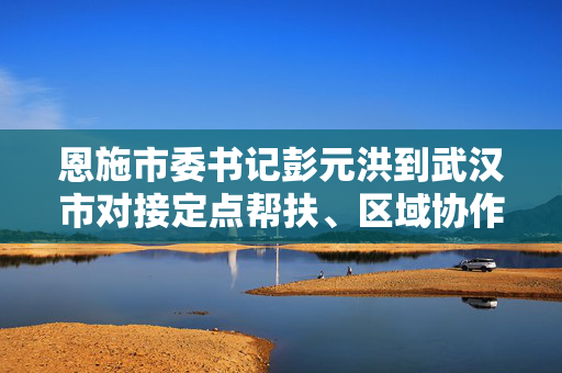 恩施市委书记彭元洪到武汉市对接定点帮扶、区域协作等工作