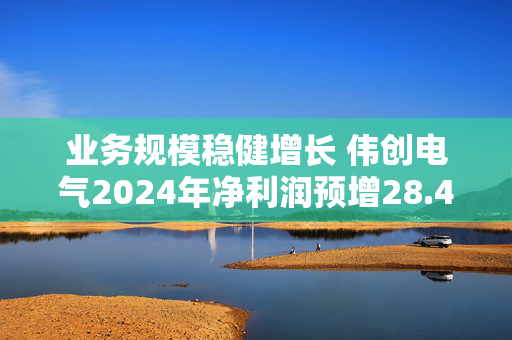 业务规模稳健增长 伟创电气2024年净利润预增28.45%