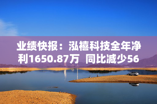 业绩快报：泓禧科技全年净利1650.87万  同比减少56.87%