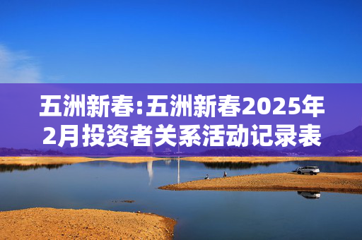 五洲新春:五洲新春2025年2月投资者关系活动记录表