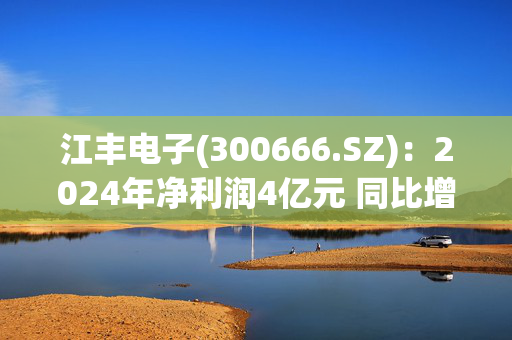 江丰电子(300666.SZ)：2024年净利润4亿元 同比增长56.9%