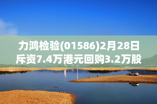 力鸿检验(01586)2月28日斥资7.4万港元回购3.2万股