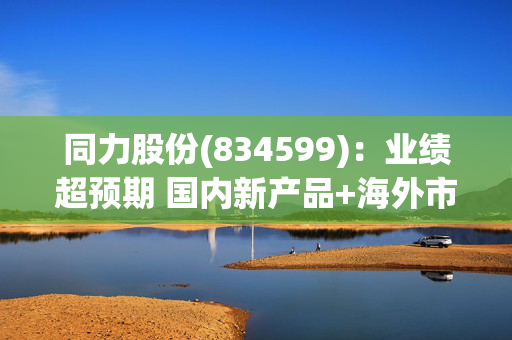 同力股份(834599)：业绩超预期 国内新产品+海外市场开拓助力公司快速增长