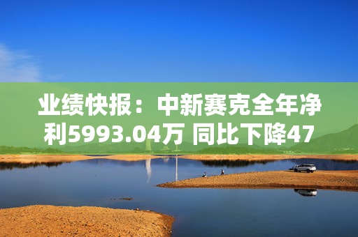 业绩快报：中新赛克全年净利5993.04万 同比下降47.54%