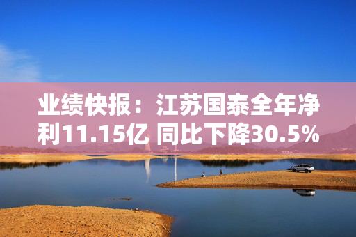 业绩快报：江苏国泰全年净利11.15亿 同比下降30.5%