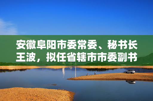 安徽阜阳市委常委、秘书长王波，拟任省辖市市委副书记