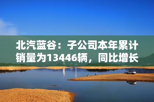 北汽蓝谷：子公司本年累计销量为13446辆，同比增长391.99%