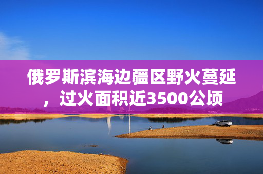 俄罗斯滨海边疆区野火蔓延，过火面积近3500公顷