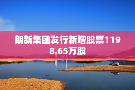 朗新集团发行新增股票1198.65万股