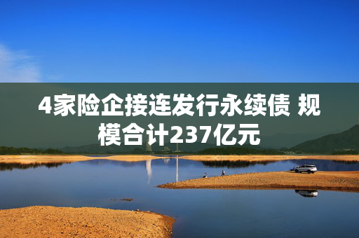 4家险企接连发行永续债 规模合计237亿元