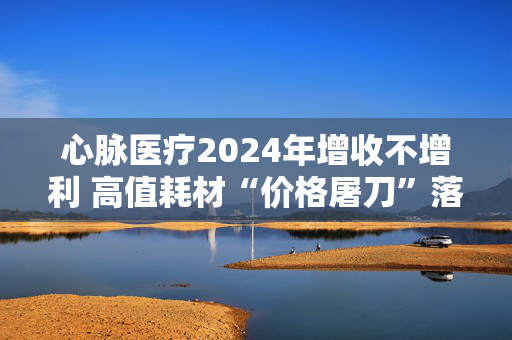 心脉医疗2024年增收不增利 高值耗材“价格屠刀”落下如何打响利润保卫战