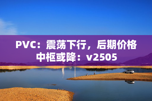 PVC：震荡下行，后期价格中枢或降：v2505