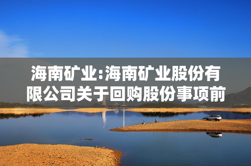 海南矿业:海南矿业股份有限公司关于回购股份事项前十大股东和前十大无限售条件股东持股情况的公告