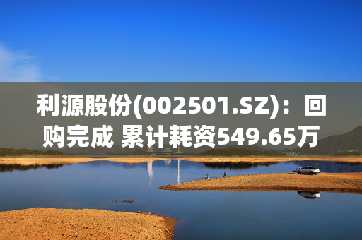 利源股份(002501.SZ)：回购完成 累计耗资549.65万元回购532.41万股