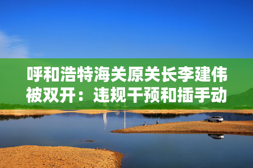 呼和浩特海关原关长李建伟被双开：违规干预和插手动植物检疫业务