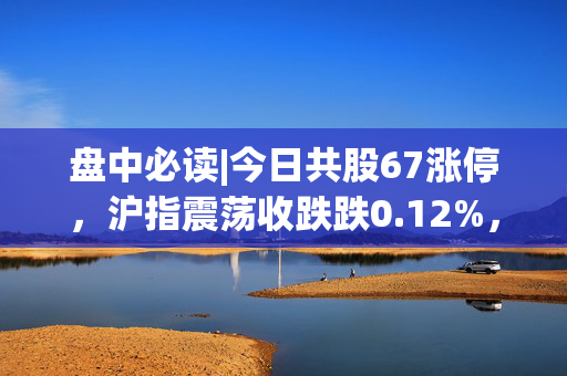 盘中必读|今日共股67涨停，沪指震荡收跌跌0.12%，固态电池概念延续涨势